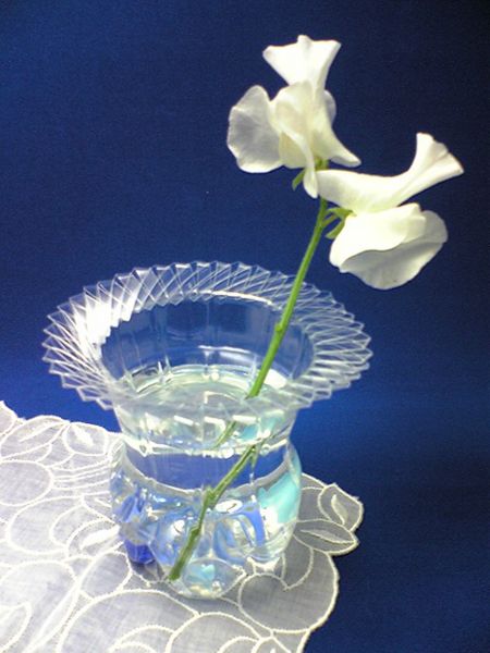 plastic bottle vase