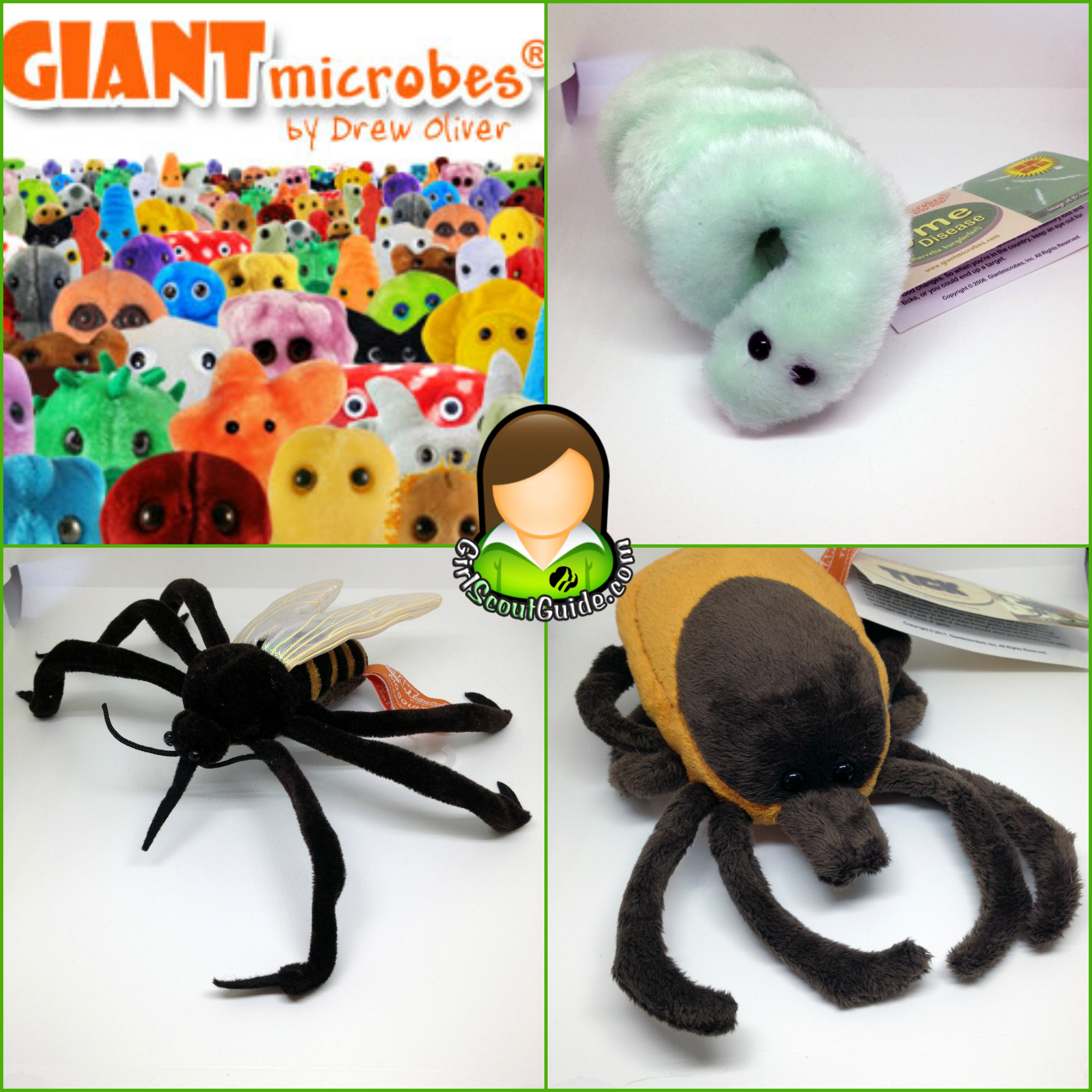 Teaching Camping Hazards with GIANTmicrobes